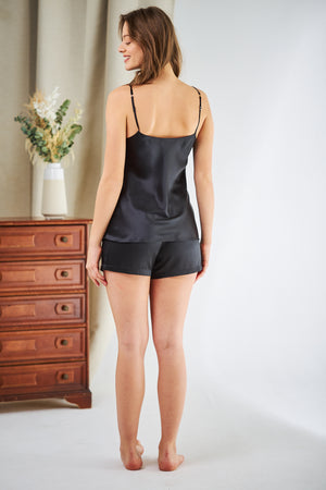 PAMELA Top